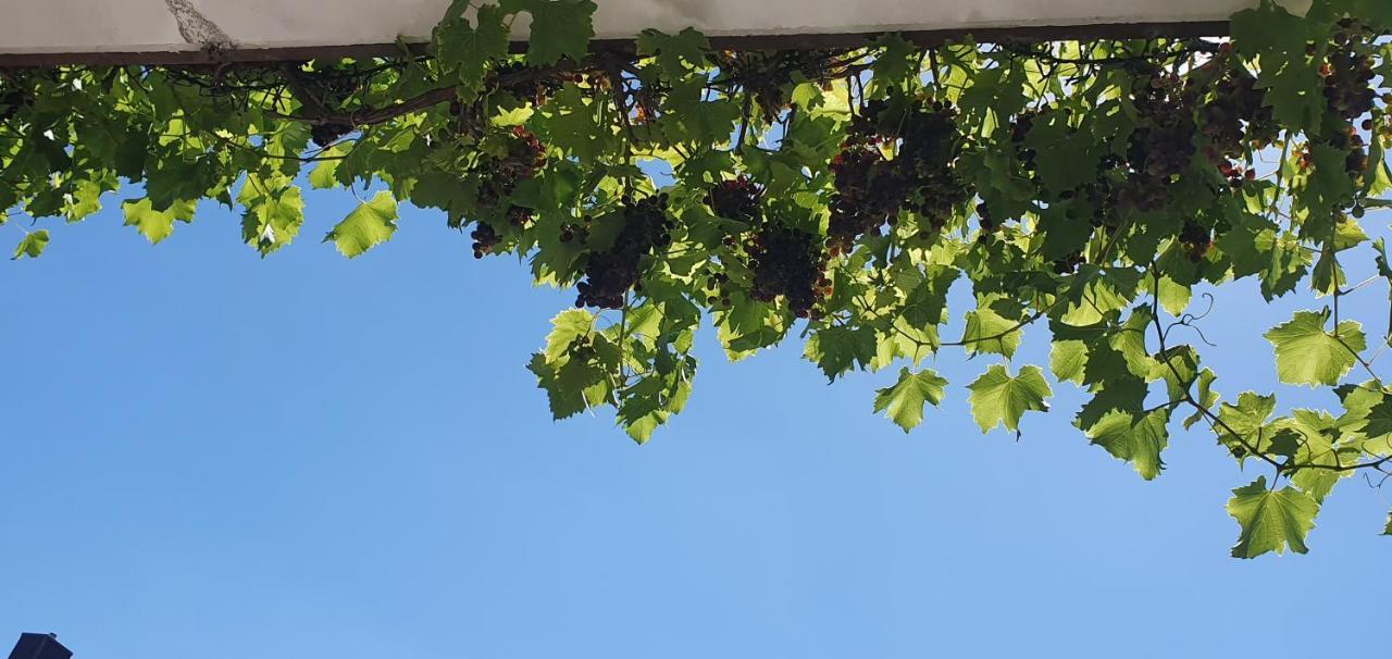 Karibu Διαμέρισμα Tiefenthal Εξωτερικό φωτογραφία