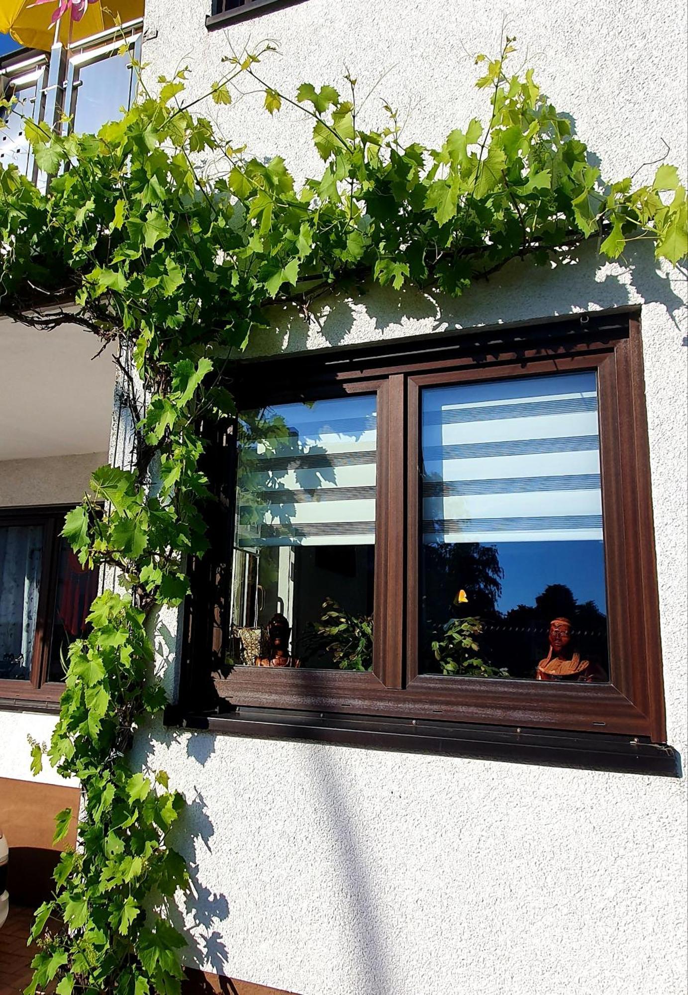 Karibu Διαμέρισμα Tiefenthal Δωμάτιο φωτογραφία